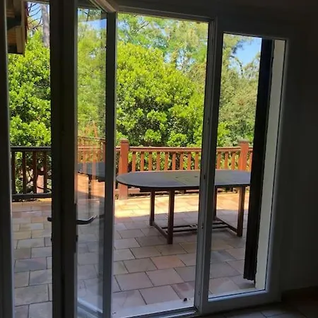 Villa Capferret Sous Les Pins,bassin Et Océan à Pied *