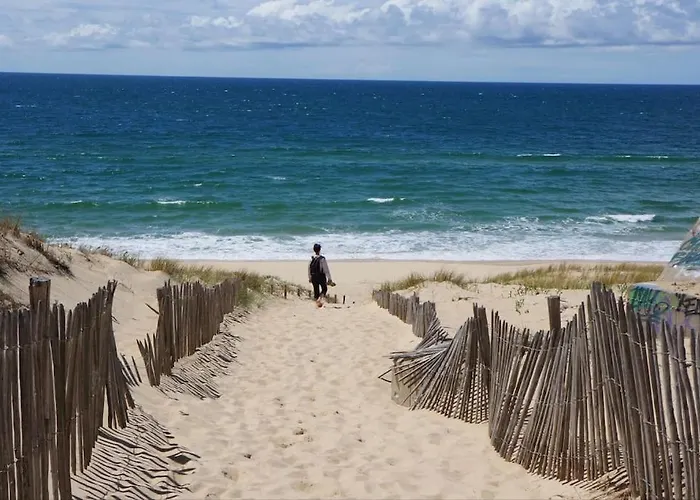 Capferret Sous Les Pins,bassin Et Ocean A Pied Willa