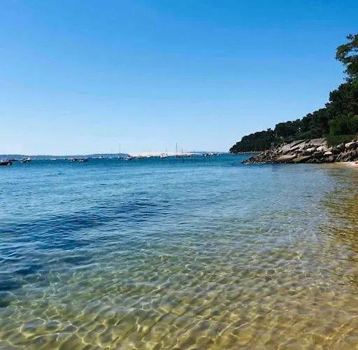 Capferret Sous Les Pins,bassin Et Ocean A Pied Lège-Cap-Ferret