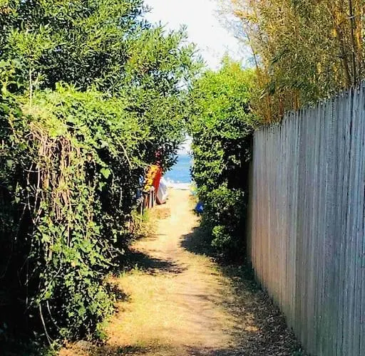 Capferret Sous Les Pins,bassin Et Ocean A Pied Willa *